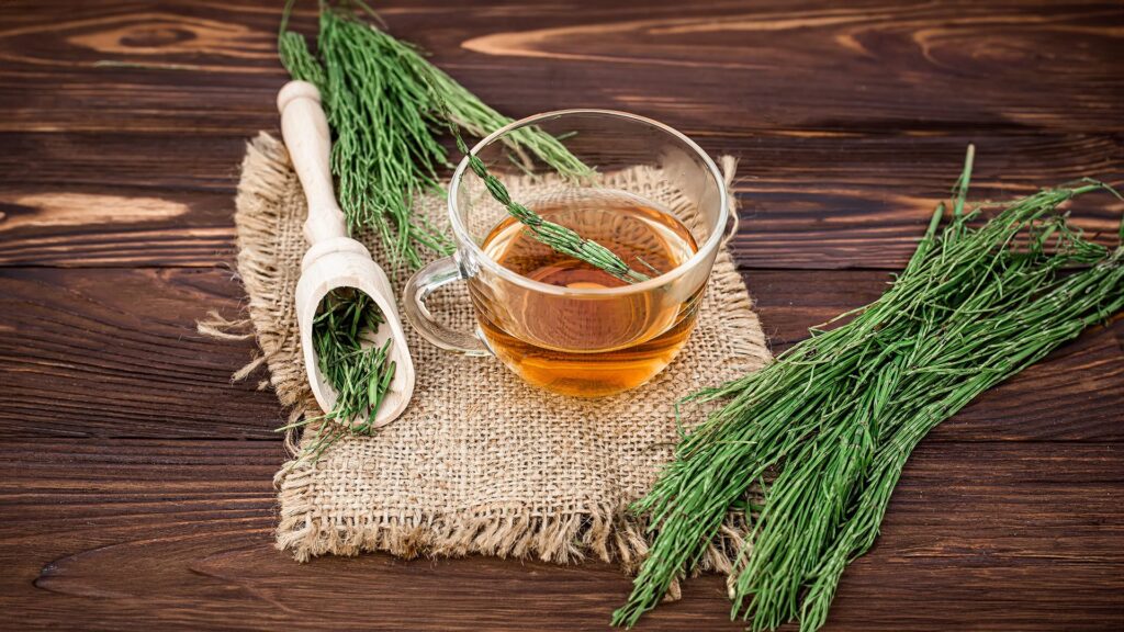 Explora los impresionantes beneficios de las infusiones naturales con pimienta cayena, diente de león y cola de caballo.